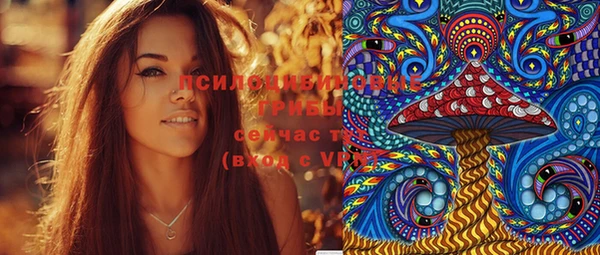 ПСИЛОЦИБИНОВЫЕ ГРИБЫ Беслан