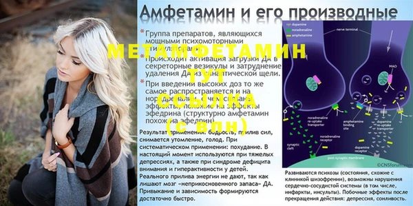 амф Бронницы