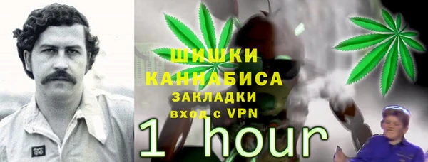 прущая мука Инта
